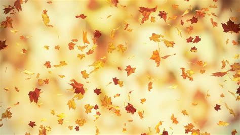 Utumn Falling Leaves Loopable 3d Backgrounds Stock Footage Video