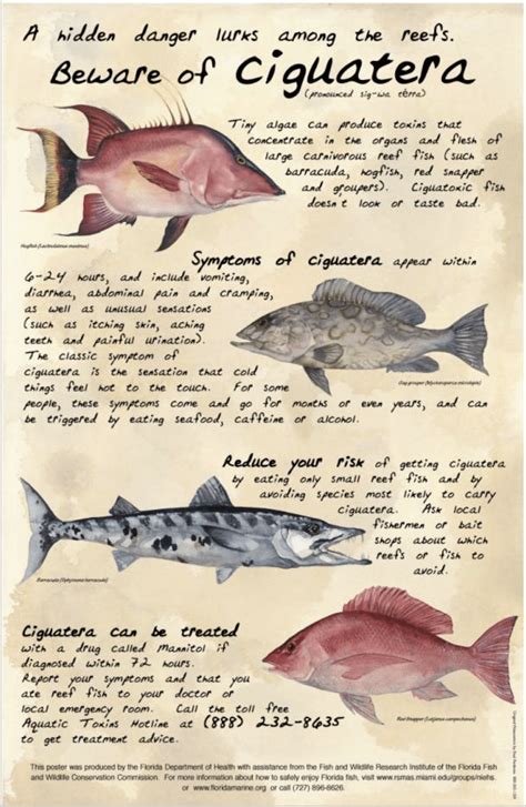 Ciguatera Fish Poisoning County Em