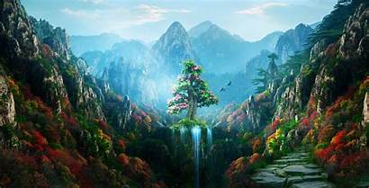 4k Nature Forest Spring Autumn Colorful Magical