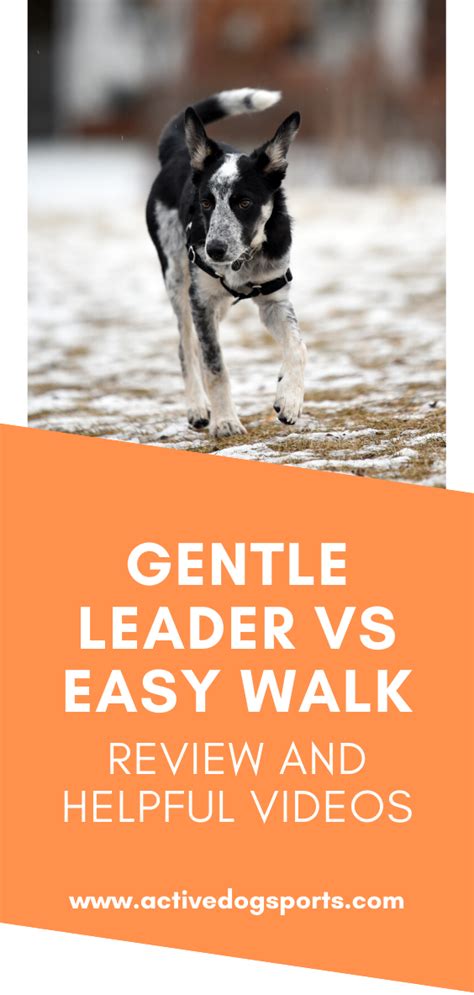 Check spelling or type a new query. Gentle Leader vs Easy Walk: Review and Helpful Videos ...
