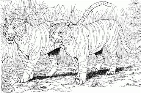 Big Cat Coloring Pages Timeless