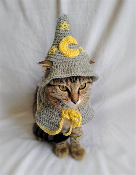 Wizard Costume For Cat Wizard Hat For Cat Wizard Pet Costume Etsy Uk
