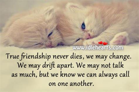 Quote About Friends Growing Apart 21 Growing Apart Quotes Ideas