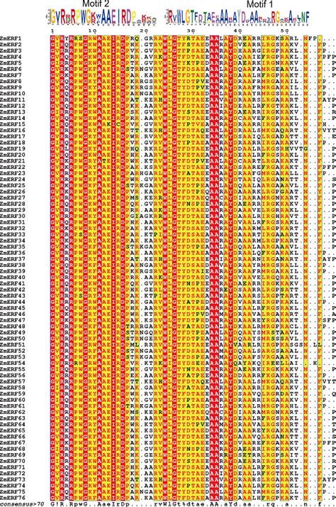 Sequence Alignment Of The Ap2 Domains In The 76 Zmerf Tfs Residues