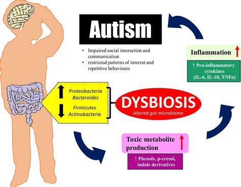 Iddf2019 Abs 0321 Relationship Between Autism And Gut Microbiome