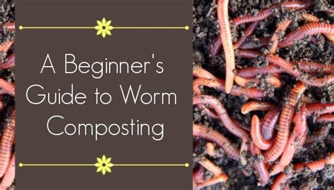 Worm Composting A Step By Step Guide For Beginners The Beginners
