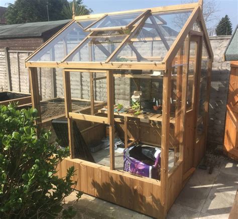 Swallow Kingfisher 6x8 Wooden Greenhouse