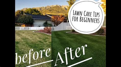 Diy How To Fix Ugly Lawn To Ultimate Lawn 4 Easy Steps For Beginners