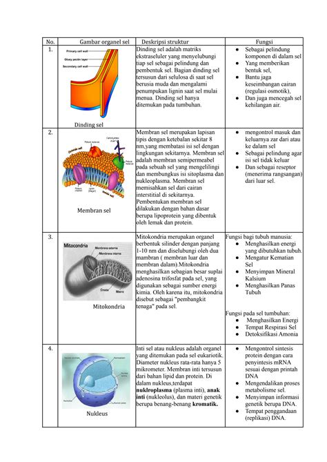 SOLUTION: Struktur sel dan fungsinya - Studypool