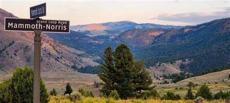 Grand Loop Road At Yellowstone National Park Stock Photo Image Of