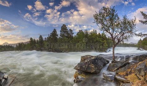 113607 Mountain River Flowing Forest Stock Photos Free And Royalty