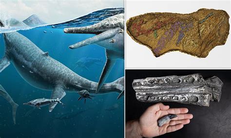 Giant Extinct Marine Reptile Graveyard May Have Been A Birthing Ground 230 Million Years Ago