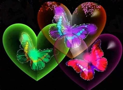 Butterflies Inside Hearts Butterfly Wallpaper Butterfly Images