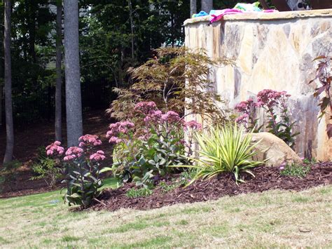 Trees are the biggest class of landscape plants, so one thing you definitely have to get right with your patio. Low maintenance plants soften poolside retaining wall. Red ...