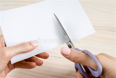 Female Hands Cutting Paper With Scissors Stock Photo Image Of Blank