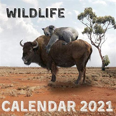 Wildlife Photography Of The Year Calendar 2021 Wildlife Aestetic 2021