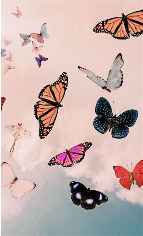 You Give Me Butterflies In 2020 Aesthetic Iphone Wallpaper Butterfly
