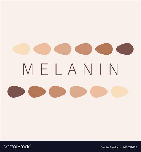 Melanin Skin Tone Color Palette Scheme Design Vector Image