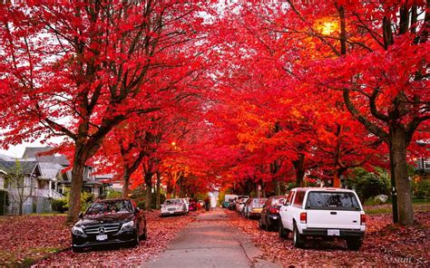22 Stunning Photos Of Vancouver In Fall 2015 604 Now