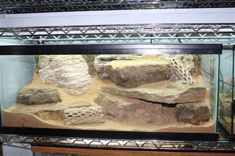 Leopard Gecko Terrarium Leopard Gecko Gecko Terrarium Reptile Terrarium