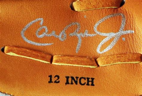 Lot Detail Cal Ripken Jr Signed Rawlings Baseball Glove Psadna