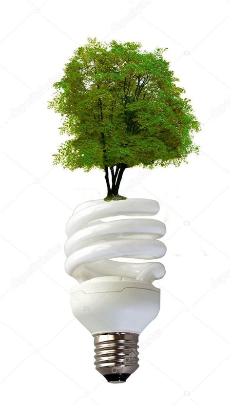 Spiral Bulb With Tree Stock Photo By ©koufax73 2047773