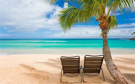 Tropical Palm Tree Tree Ocean Beach Chair Hd Naturaleza Oc Ano Playa