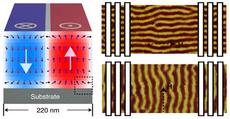 antiferromagnetic type spin wave propagation in periodic nanodomains