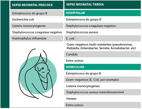 Sepse neonatal o que é sintomas e tratamentos Blog da IPEMED