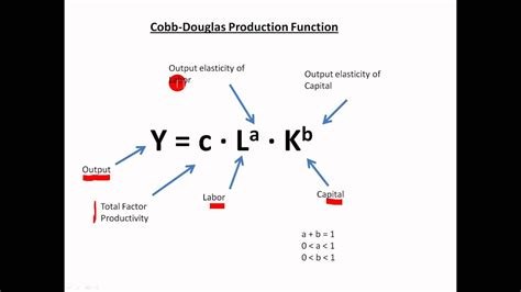 Difference Between “cobb Douglas” And “leontief” Production Functions