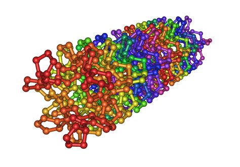 File1k6f Crystal Structure Of The Collagen Triple Helix Model Pro Pro