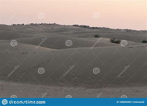 This Is An Image Or Scenery Of Beautiful Thar Desert Or Sam Sand Dunes