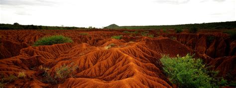 Soil Erosion May Means More Than We Think Siowfa15 Science In Our