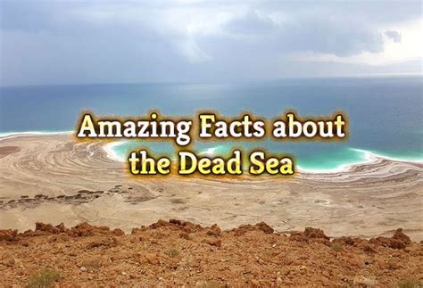 Amazing Facts About The Dead Sea Amazing