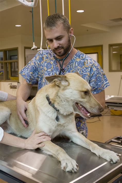 Save towneplace suites by marriott slidell to your lists. Pet Health: Prepare for medical emergencies when animal ...