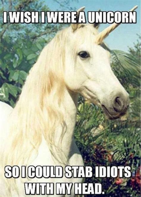 I Wish I Was A Unicorn Funny Meme Pictures Funny Pictures Haha Funny