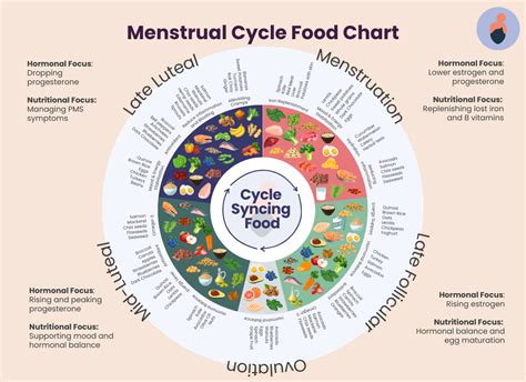 Cycle Syncing Food Chart Boost Energy And Hormonal Balance With The