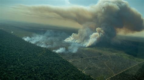The Amazon Rainforest Is On Fire Again Vox