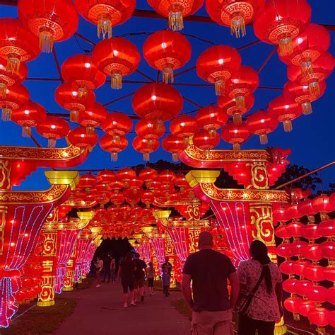 Boston Lights A Lantern Experience At Franklin Park Zoo Boston Date