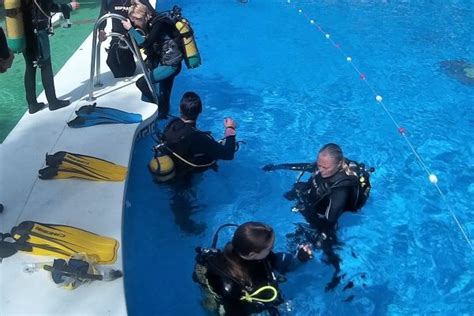 Scuba Diving Spain Padi 5 Idc Centre Costa Del Sol