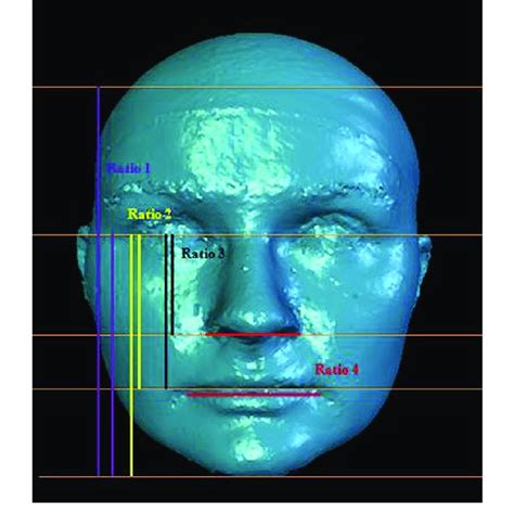 3d face attractiveness analysis process download scientific diagram