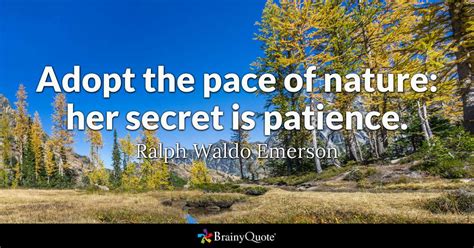 Adopt The Pace Of Nature Her Secret Is Patience Ralph