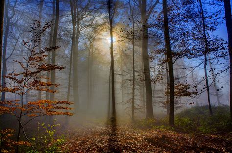 Images Rays Of Light Germany Fog Nature Forests Trees 1920x1275