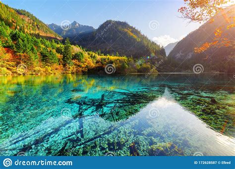 Beautiful View Of The Five Flower Lake Among Colorful Fall Woods Stock
