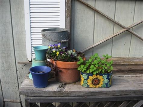 In Which I Clean Up My Potting Bench Sierra Foothill Garden