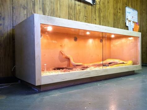 Diy Snake Cage Enclosure Design Love The Lights And Ventilation