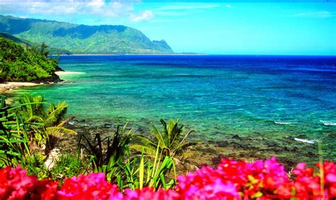 Hawaii Beach Desktop Background Zoom Wallpapers