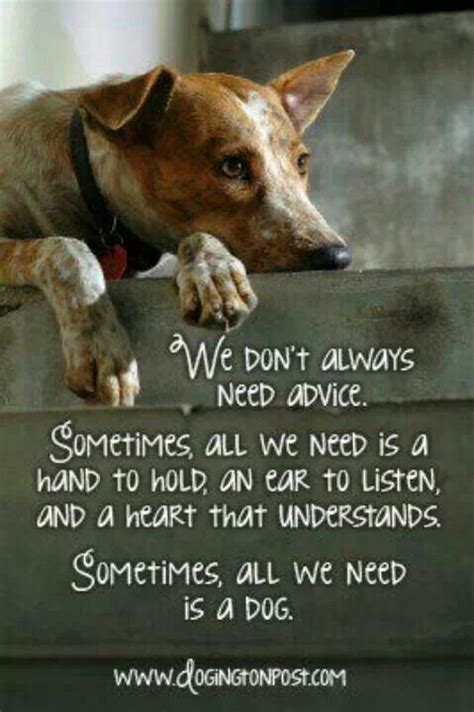 Pin By Barbara Williams On Pet Quotes Dog Quotes I Love Dogs Dogs