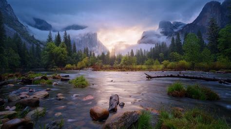 Yosemite National Park Usa Wallpaper Landscape Nature Misty Forest