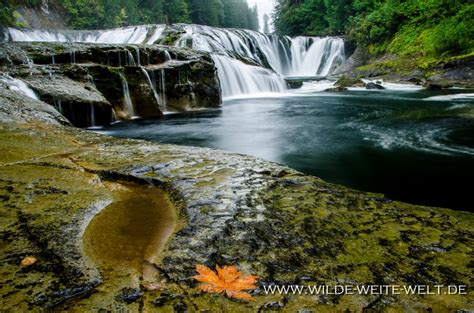 Middle Lewis River Falls Ford Pinchot National Forest Wilde
